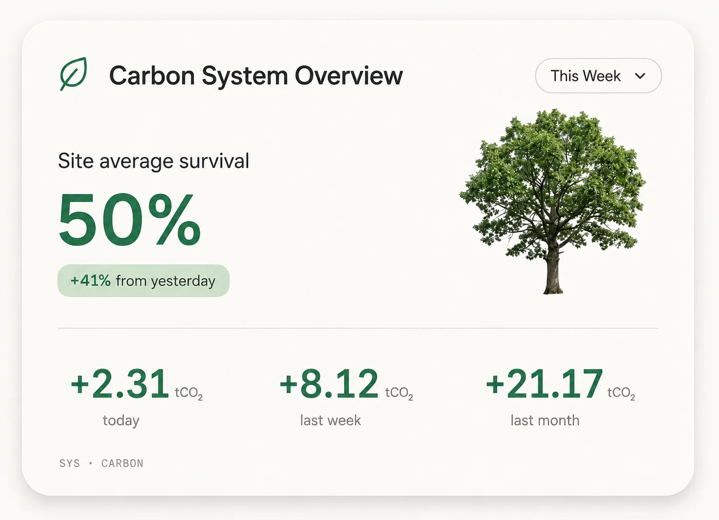 CARBON STOCK